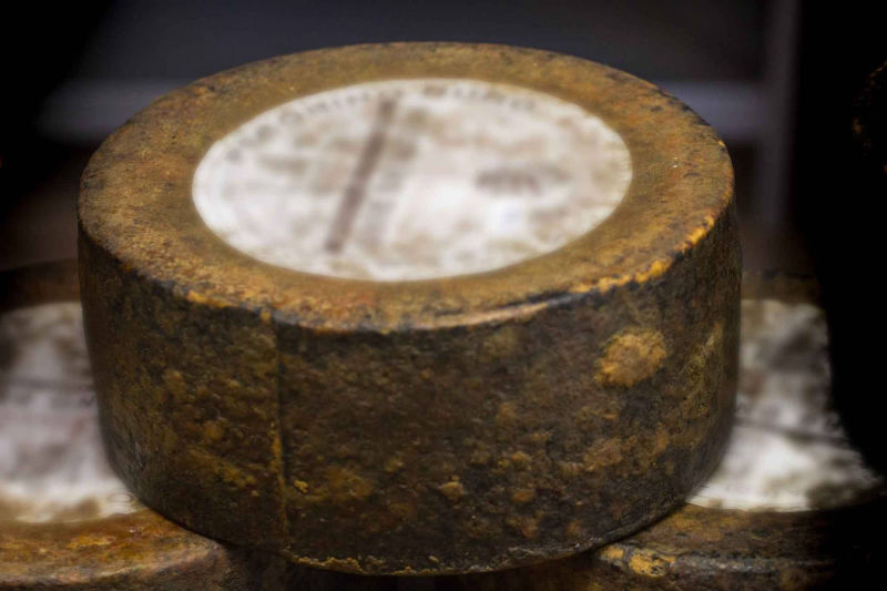 pecorino stagionato formaggio